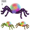 WIDMANN Araignée Lumineuse 30 Cm - 3 Couleurs Ass -Halloween Soldes Boutique araignee lumineuse 30 cm 3 couleurs ass