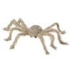 WIDMANN Araignée Poilue à Poser Ou à Porter 75 Cm -Halloween Soldes Boutique araignee poilue a poser ou a porter 75 cm
