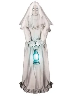 Fantôme De La Dame Blanche Animé Pour Halloween